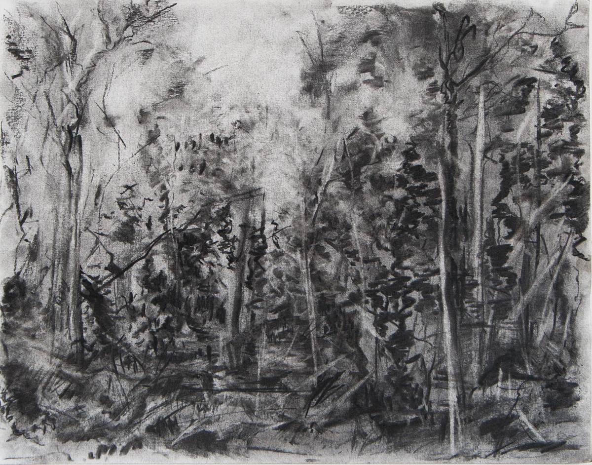 ‘Until the Quiet Comes’ (drawings) 2018-20